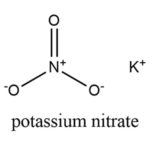 Image 10(B)